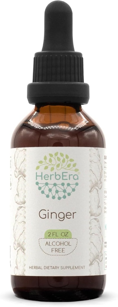 Erbe Ginger B60 Estratto di erbe senza alcool, Ginger superconcentrato (Zingiber officinale) 2 fl oz
