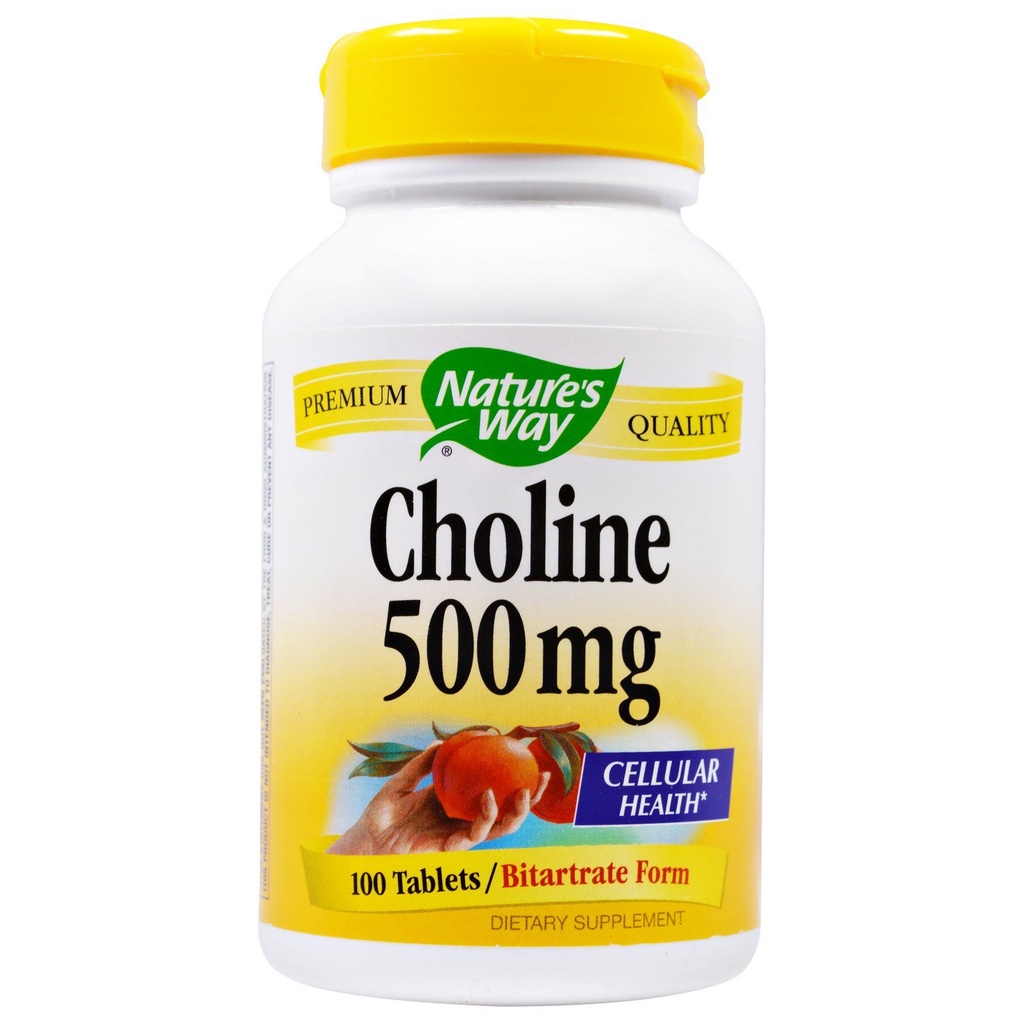 NATURE'S WAY Choline 500mg 100 compresse