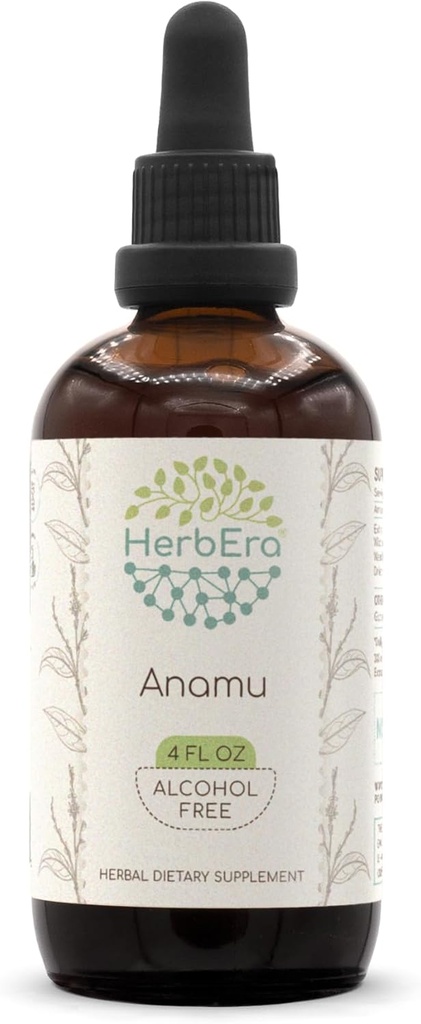 HerbEra Anamu B120 Alcohol-Free Estratto di erbe Tintura, Wildcrafted Jamaican Guinea Hen Weed (Petiveria Alliacea) Erbe secca (4 fl oz)
