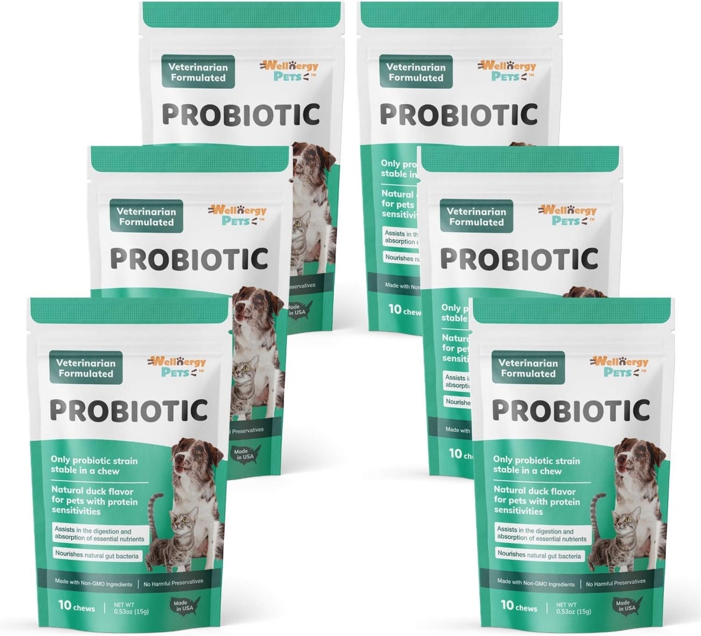 Wellnergy Daily Probiotics & Prebiotics Soft Chew for Dogs & Cats - Supporto digestivo per diarrea, costipazione, upset Stomach, Indigestion & Gas - Aiuta la digestione, Allergy Skin & Immune Health 60ct