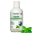 Land Art - Liquid Chlorophyll Mint – Cold-Extracted from Wild Non-GMO Alfalfa – Natural Clorofila Liquida – Antiossidante - Detox Supplement – Boost Energy – Alkalizing & Body Odor Neutralizer – 16 floz