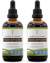 Segreti della Tribe Sting Nettle Root Tincture Alcohol Extract, High-Potency Herbal Drops, Tincture Fatto da Sting Nettle Urtica Dioica Respiratory and Urinary System Health 2x4 oz