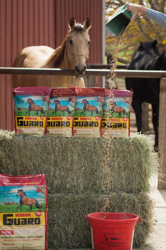 Guardia di cavallo 4.6 lb, supplemento minerale di vitamina Equina con selenio organico & vitamina E