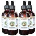 Estratto di liquido privo di alcool autoadesivo, Selfheal organico (Prunella Vulgaris) Dried Herb Glycerite Natural Herbal Supplement, Hawaii Pharm, USA 4x4 fl.oz