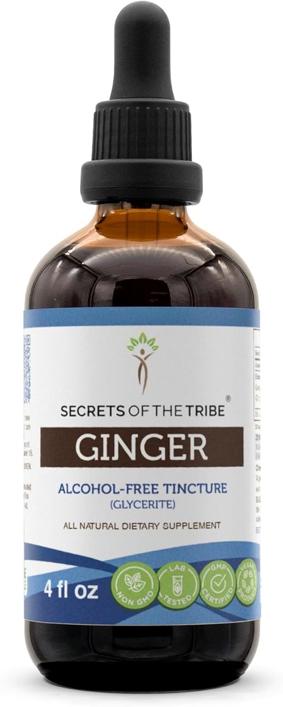 Segreti della Tribe Ginger Tincture Alcohol-Free Extract, Ginger (Zingiber officinale) Dried Root 4 OZ