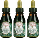 3 Bottiglie di Apiario Silvestre Bee Pollen & Brazil Green Bee Propolis Liquid - Glycolic Extract-Non Alcoholic, Wax Free, Sugar Free