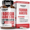 Fadogia Agrestis 1500mg [Purità più alta] + BioPerine® per supplemento ad alto assorbimento con Tongkat Ali - Aumentare la stamina, magra crescita del muscolo e recupero, Boosts Drive 3rd Party Testato 120 capsule