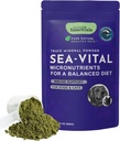 Animal Essentials Ocean Kelp per cani e gatti - supporto tiroideo, supplemento tiroideo, kelp mare, polvere di Kelp, supplemento minerale di vassoio - 24 Oz