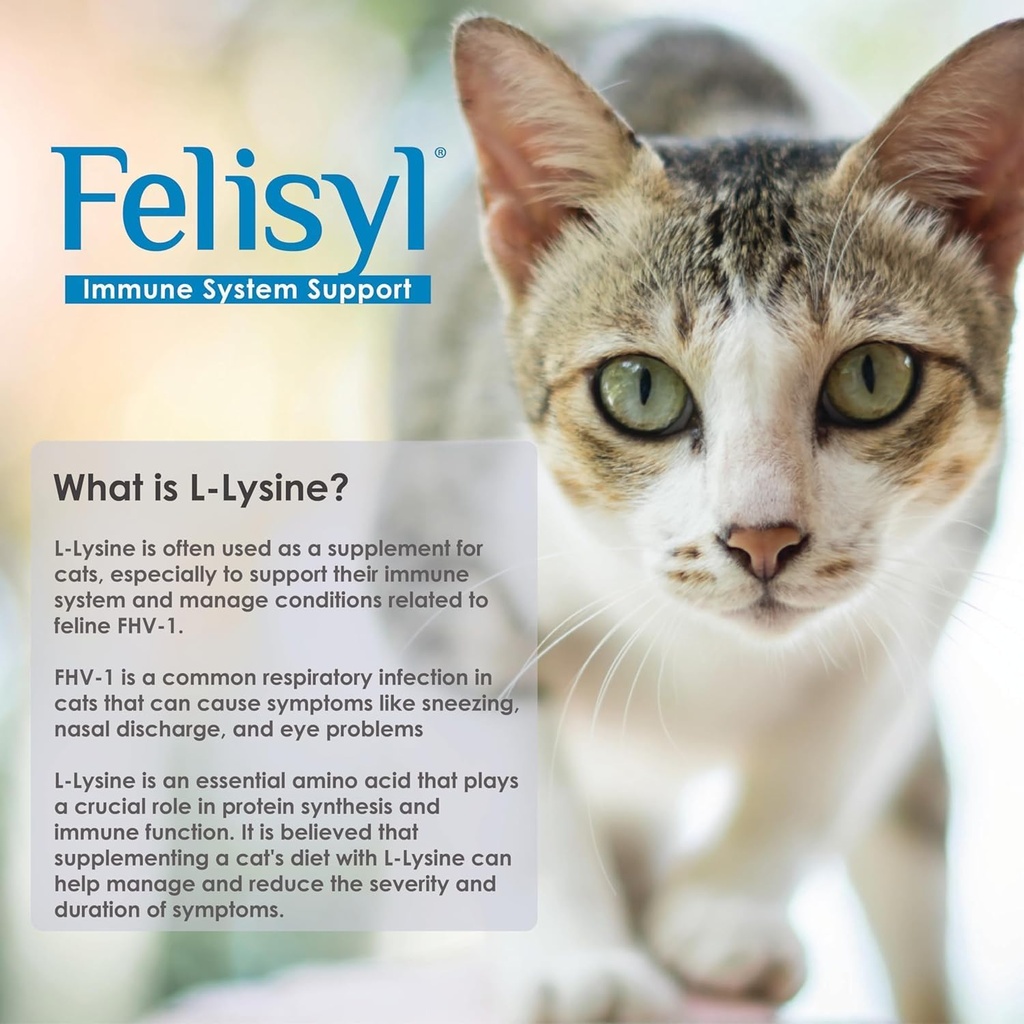 L-Lysine Gel per Gatti - Supporto per Sistema Immune - Supporto Supplemento per Tessuto Sano, Respiratorio e Visione - Salmon-Aromaed - Made in the USA - 5 oz