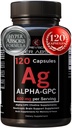 Alpha GPC Supplement & BioPerine per l'assorbimento iper-iper - 120 Count, Alpha-GPC 600mg per Serving - Nootropics for Memory, Focus, Energy, & Drive - Supplementi colina per aumentare l'acetilcolina, Made in USA
