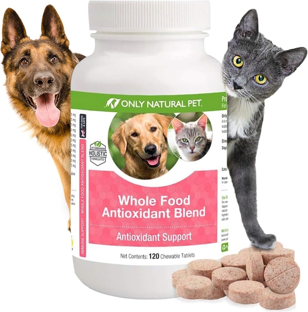 Solo Natural Pet intero cibo Antiossidante tè verde & Berry Antiossidante vitamina supplemento di miscela per i cani, per sostenere un sistema immunitario sano, Combattere il danno radicale libero - 60 Soft Chews