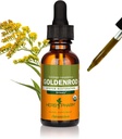 Estratto di liquido Goldenrod organico certificato di Herb Pharm per il supporto del sistema urinario, 1 Fl Oz (pacchetto di 1)