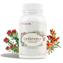 CheezhengHimalaya Rhodiola e Goji Berry Supplemento giornaliero, energia di sostegno, calma mentale, aumento della digestione, migliorare l'immunità, migliora l'utilizzo di ossigeno, erbe naturali tibetane, 90 capsule vegetali