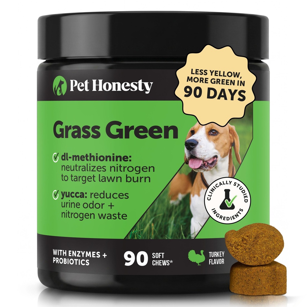 Grass Green Dog Chews - Urine Neutralizer per prato, Dog Pee Grass aiuta Yard Soggiorno Verde Indirizzando i punti brucia con Probiotici & Enzimi (Turchia)