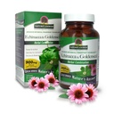 Risposta della natura Echinacea & Goldenseal | Integratore alimentare | Supporta un sistema immunitario sano | Non OGM & Kosher Certificato | Compresse vegetariane / vegane 90ct