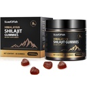 Organic Shilajit Gummies, Pure Himalayan Shilajit Gummies for Men Supplement, Gold Shilajit Gummies for Women,Natural 85+ Trace Minerals, Ashwagandha, Black Seed Oil Extract, 90 Gummies