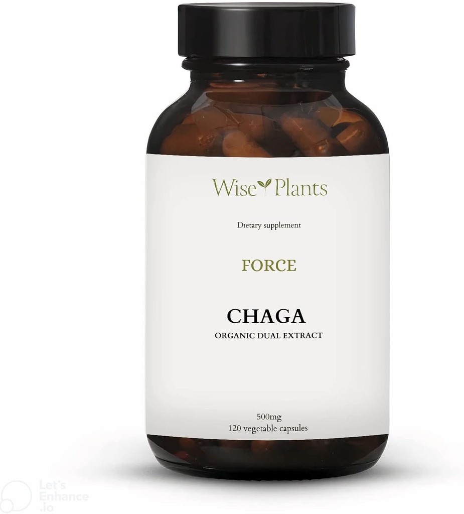 Chaga Mushroom Supplement. Dual Extract, Pure Fruiting Body, 30% Polysaccharides, 500 mg, 120 vegecaps (120-Day Supply). Può sostenere digestivo sano, funzione immunitaria e promuovere la salute del cuore.