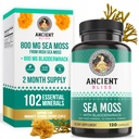 Antiche Beatitudine Organic Irish Sea Moss Pills - Dr Sebi Wildcrafted Seamoss Capsule | Thyroid, Healthy Skin & Gut Support | 120 capsule