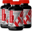 Body Builder per gli uomini - CREATINE Powder 100G - Creatina Bulk - 3 Bottiglia (Powder)