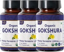 Gokshura 120 compresse | Tribulus Terrestris (Gokshura) | USDA Organic Certified | Supporta immunità e resistenza | Organico e Naturale 120tab - Confezione da 3