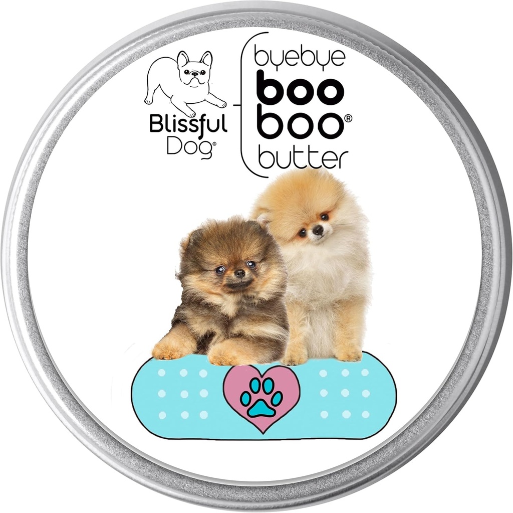 Il beato cane 1 oz TIN Pomeranian Booboo burro