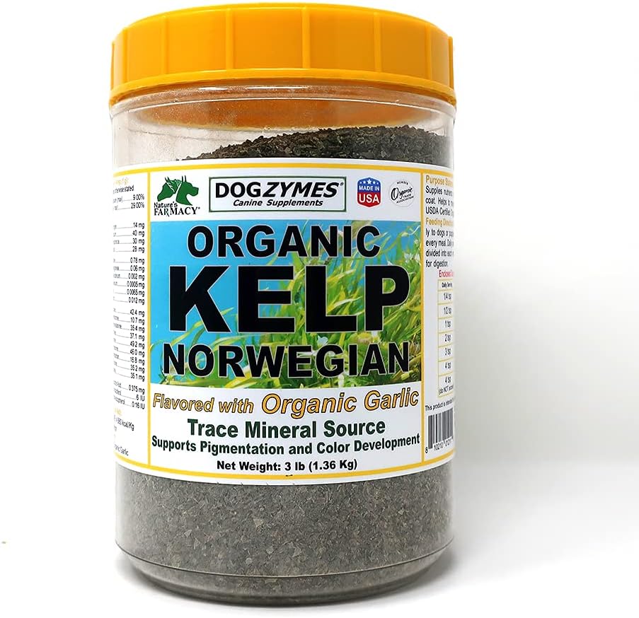 Dogzymes Organic Norwegian Kelp potenziato con l'aglio (3 Pound)