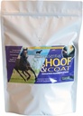 Pennwoods Essential Hoof & Coat - Integratore di cavalli con Biotin per una crescita ottimale dell'equino, Cappotto sano & Nutritional Balance, 4lb Bag