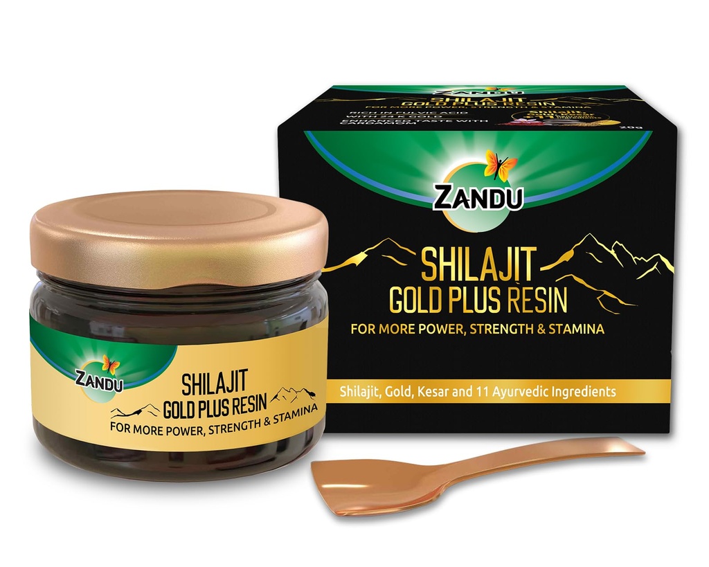 Zandu Himalayan Shilajit Resina | Integratore naturale a base vegetale per energia, resistenza e prestazioni fisiche | Supporta stile di vita attivo & vitalità | 0.71 Oz (20g)