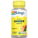 SOLARAY Organic Ginger 1080 mg - Integratori di zenzero organici - Allevia Nausea e Vomiting Associati a Motion Sickness, Supports Joint Health - Vegan, Non Drowsy, 60-Day Guarantee, 50 Servings