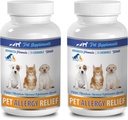 Integratori del sistema immunitario del cane - PET Allergy Relief - per cani e gatti - Advanced Formula - Burdock Root for Dogs - 2 Bottiglia (150 Chews)