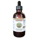Barberry Alcohol-FREE Liquid Extract, Barberry Organico (Berberis Vulgaris) Dried Root Bark Glycerite 2 oz