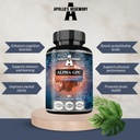 APOLLO'S HEGEMONY Alpha-GPC 600mg per Dose Giornaliera - 90 Vegan Choline Capsules - 99% Choline Alfoscerate Integratore alimentare - Lipid Choline - Memory and Concentration Capsules