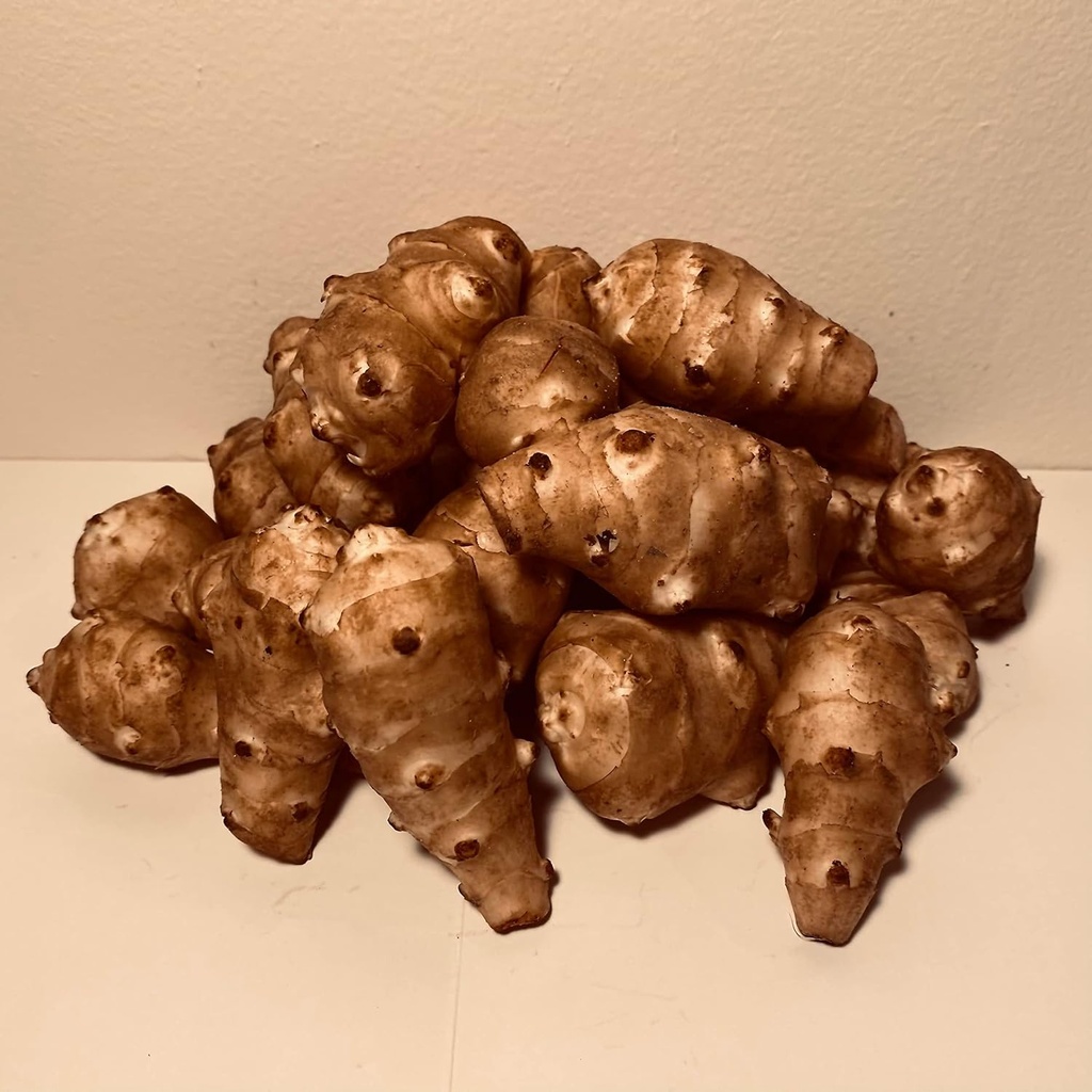 Sunchokes - 5 libbre (5 lbs) per la semina o mangiando FEDEX 2Day