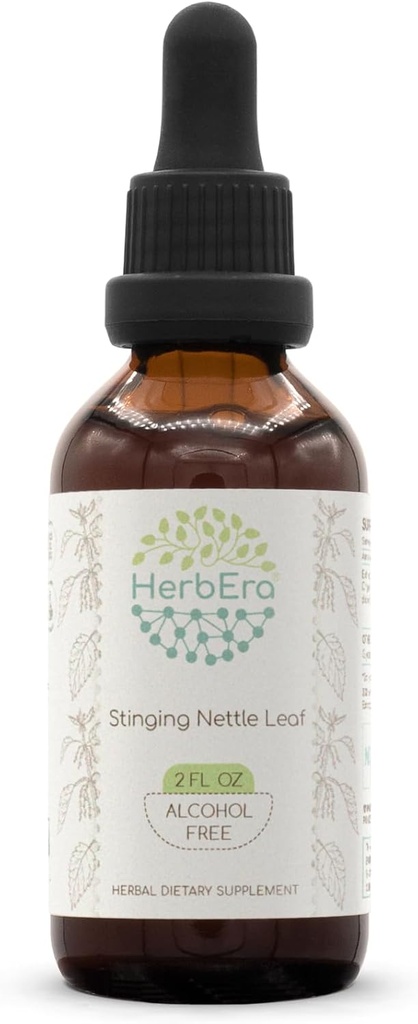Foglia di ortica B60 Estratto di erbe senza alcool Tintura, gocce di liquido concentrate Natural Stinging Nettle (Urtica Dioica) Foglia secca (2 fl oz)