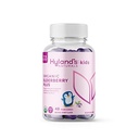 Hyland's Kids Organic Elderberry Plus Gummies, Organic Black Elderberry with ZINC and Vitamin C, Supporto immunitario per bambini, 48 Vegan Gummies