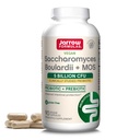 Jarrow Formulas Saccharomyces Boulardii + MOS Probiotics for Digestive Health and Intestinal Tract Support - 5 miliardi di CFU Per Serving - 90 Tappi di rilascio ritardati - Probiotic + Prebiotico - 90 Serve