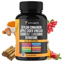 Ceylon Cinnamon capsule 3000mg Turmeric 3000mg Aceto di sidro di mele 3000 mg Ginseng 2000mg Aloe Vera 2000mg Berberina Supplemento 1200mg + Banaba | Bitter Melon | Gymnema | Ginger Root - 60 Count