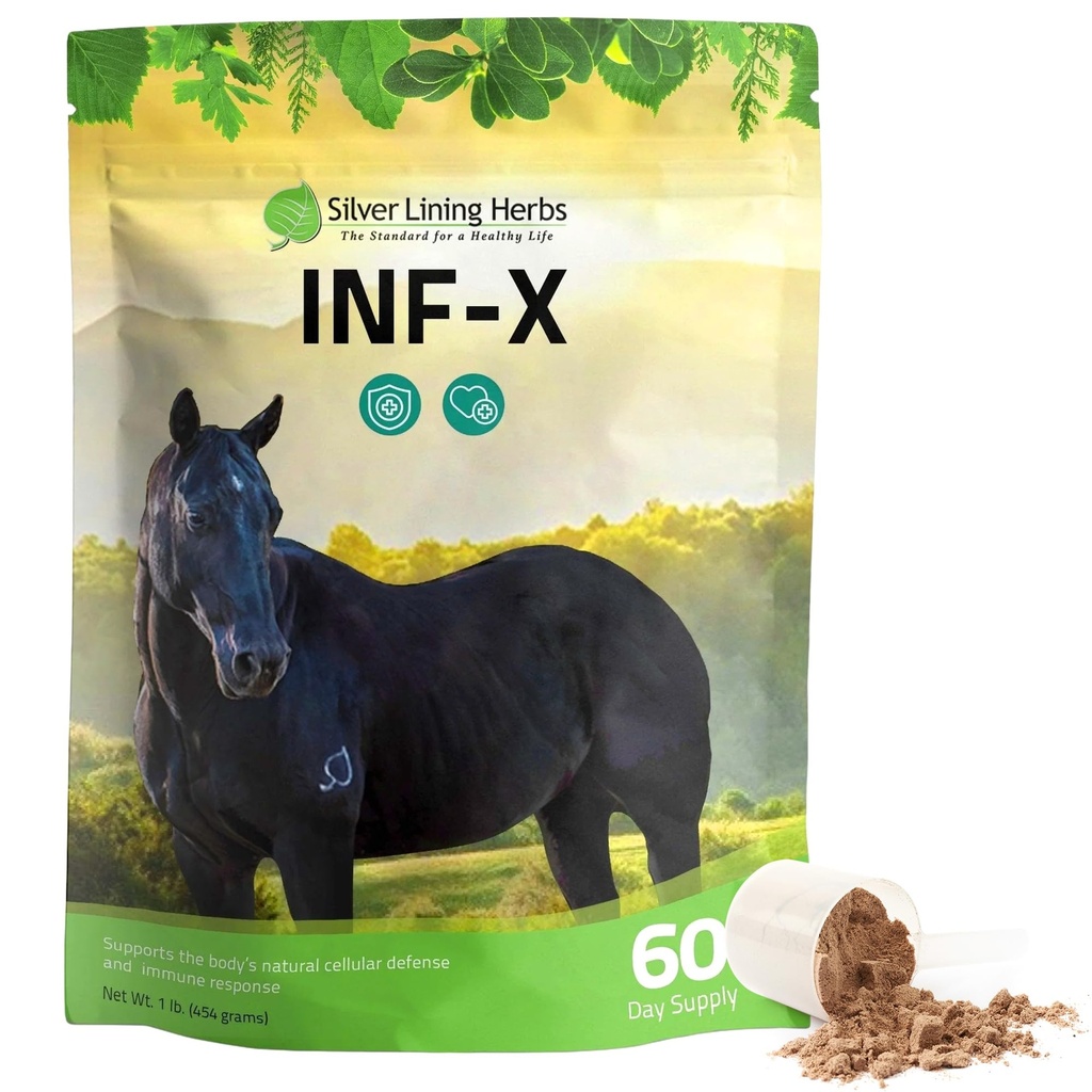 Silver Lining Herbs Equine INF-X - Supporta lo stress cavallo Rilievo e livelli sani di buon batterio - Supporto naturale per Equine Immune System - Integratore a base di erbe per la disintossicazione dell'equino - 1 lb