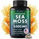 Capsule per il mare - Moss irlandese Avanzato con Burdock Root, Bladderwrack & Muira Puama per l'immunità, Gut, & Energy - Superfood Sea Moss Supplements w/Raw Sea Moss Powder - 120 Irish Seamoss Pills
