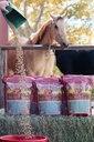 Mega Dose 40 lb, Equine Vitamin Mineral con un servizio completo di protezione del cavallo supplemento & Hoof Guard