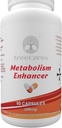 Il metabolismo