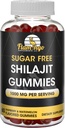 Zucchero libero Shilajit Gummies (1000mg)- naturale Himalayan organico acido Fulvic Shilajit supplemento per gli uomini e le donne -60