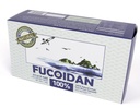 [Pill Type] 100% naturale Brown Seaweed Extract Fucoidan USFDA Passed (ID Code 2030950) (50g (20sachets))
