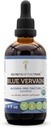 Secrets of the Tribe Blue Vervain USDA Organic | Alcohol-Free Extract, High-Potency Herbal Drops