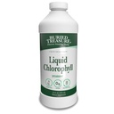 Buried Treasure Liquid Chlorophyll 100 mg, Integratore alimentare, Supporto digestivo intestinale Corpo naturale Deodorante Vegan Non OGM Alcol Free, Spearmint Flavor 32oz