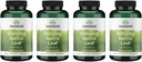 Swanson Sting Nettle Leaf (Urtica Dioica) - Integratore a base di erbe Promozione del Tratto urinario & Respiratory Health Support - May Support Healthy Fluid Balance - (120 Capsules) (4 Pack)