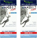 Wellgenix Bio-Available Sublingual B12 Max - Formulato per alto assorbimento - Nutrizione Multivitamina B12, B6, Folate - Dissolve veloce (60 Ct) 2 Pack