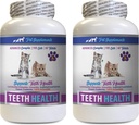 cat Bad Trattamenti Respiranti - CAT Teeth Health - Advanced Mouth Health Complex - Immune Boost - Vitamina b12 per Gatti - 2 Bottiglie (120 compresse)