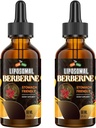 Integratore di Berberina con Ceylon Cinnamon 3000mg - Alta biodisponibilità Liquido della Berberina, Complesso di Berberina HCL Plus Integratori Turmerici, Attivatore AMPK, Adatto per le donne,Men-120ml