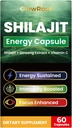 Capsule Shilajit, Shilajit di alto grado dall'Himalaya, Acido Fulvizio Abundante & 85+ Minerali Trace, senza glutine, senza aggiunta di zuccheri capsule Shilajit per uomini e donne